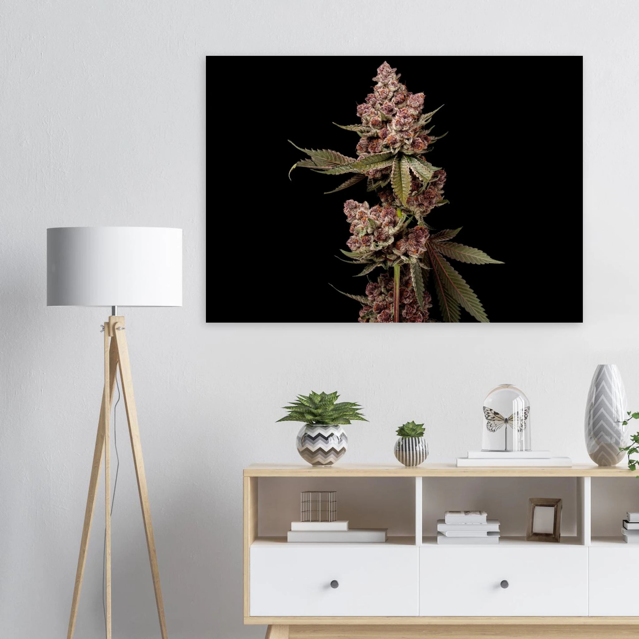 bfdaea97-4c4c-433c-8d0f-fe751e1c761e