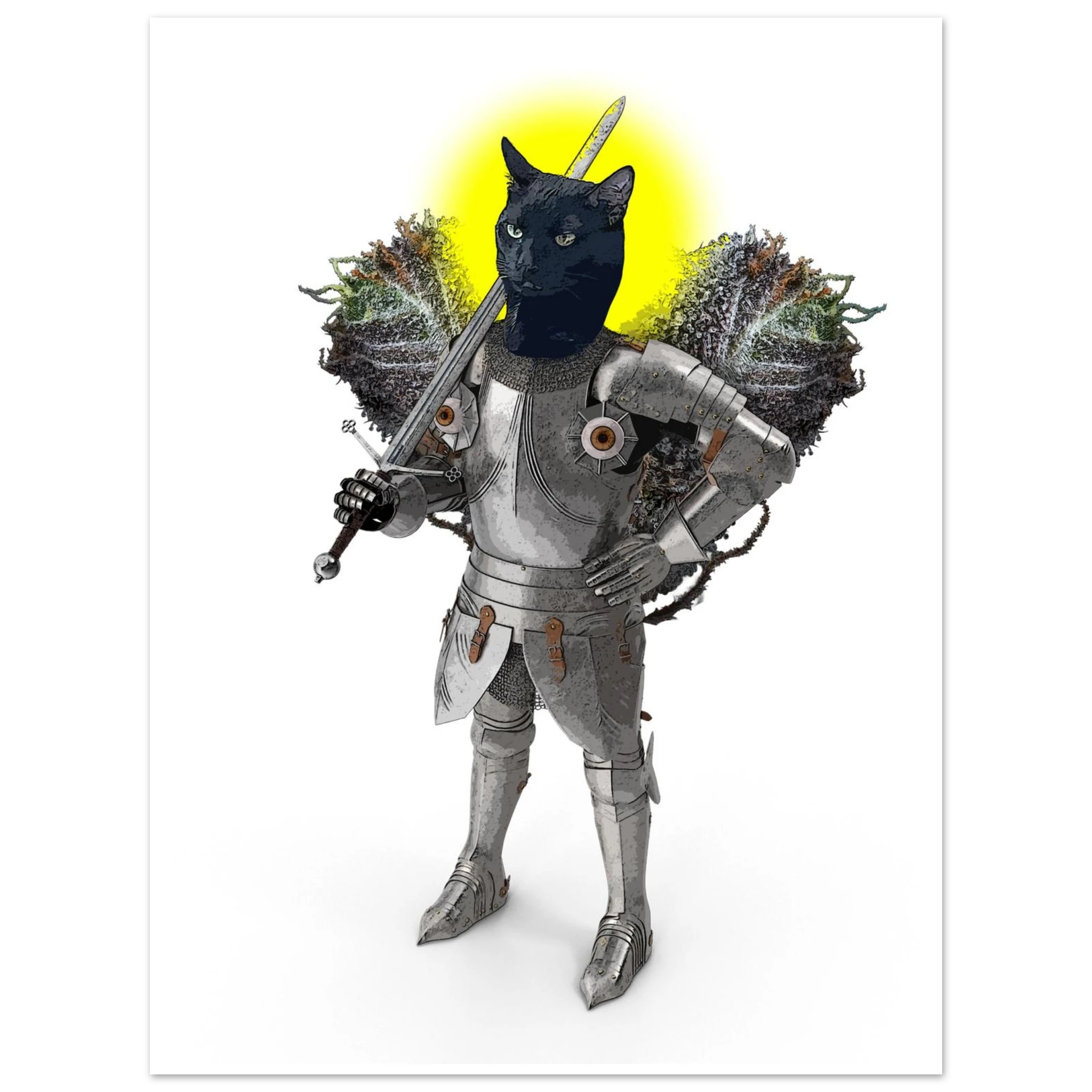 cbf43fd2-89ea-4374-9903-24622e7da1e5