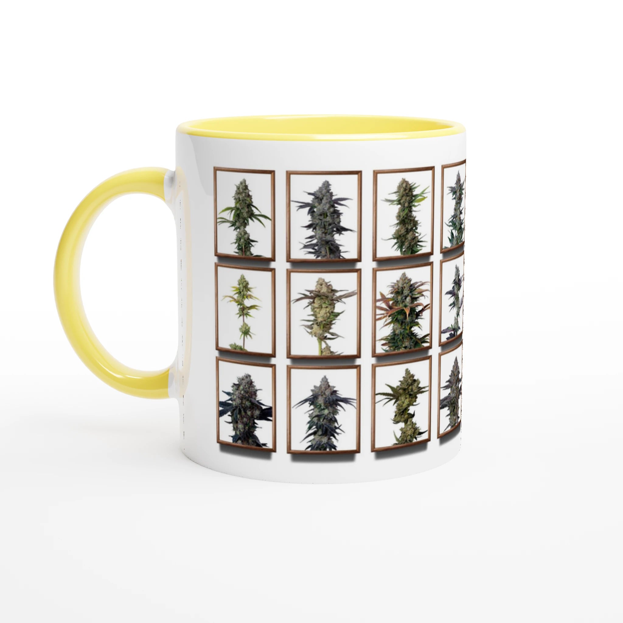 cdf8ed50-7ed0-4bda-9195-881930641b12