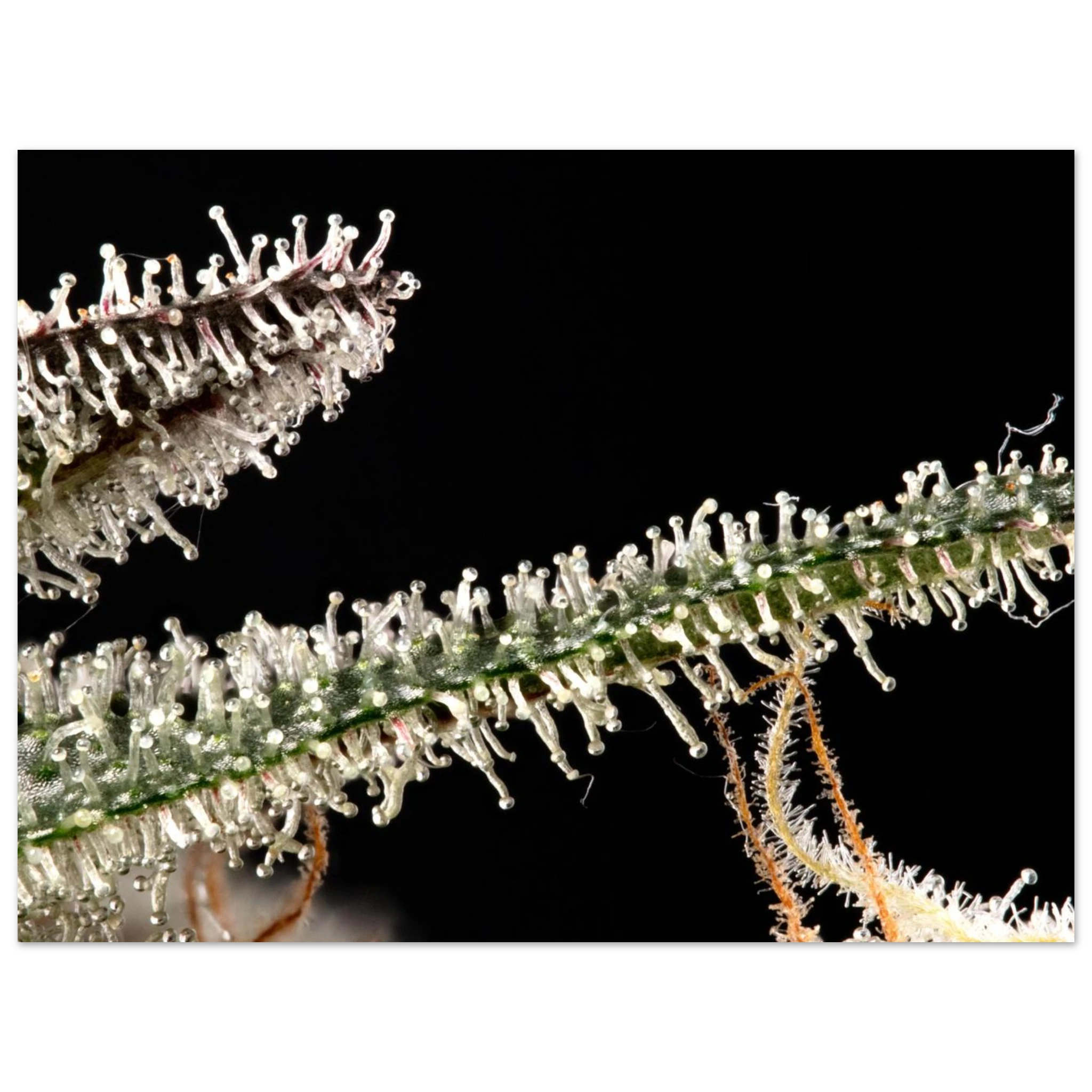 ce9b60a7-c913-4437-a00e-10edeaeba7e3