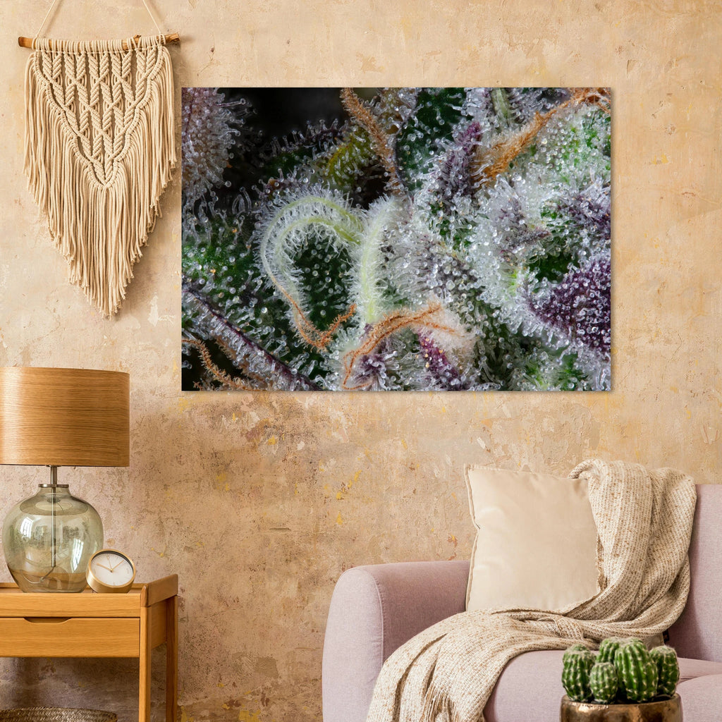 d86a57c0-cbc3-43b1-b533-f703f671c3f2