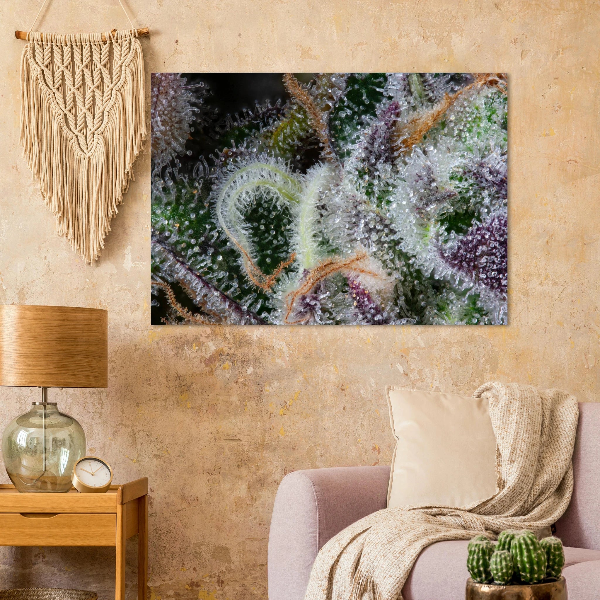 d86a57c0-cbc3-43b1-b533-f703f671c3f2