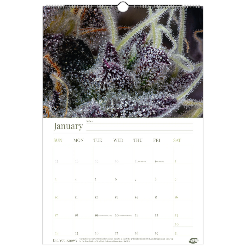 d9ff0efe-2d47-4650-ac6a-b0e3f8d35315