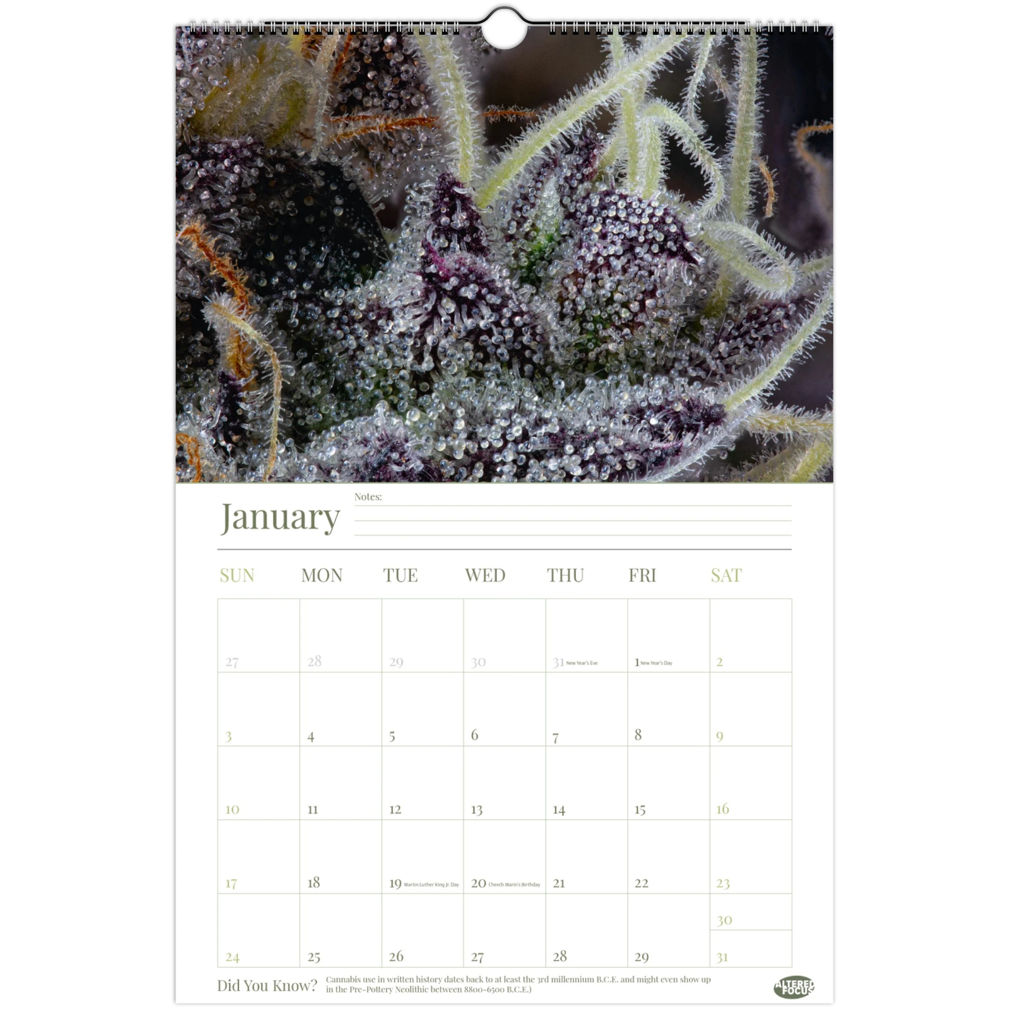 d9ff0efe-2d47-4650-ac6a-b0e3f8d35315