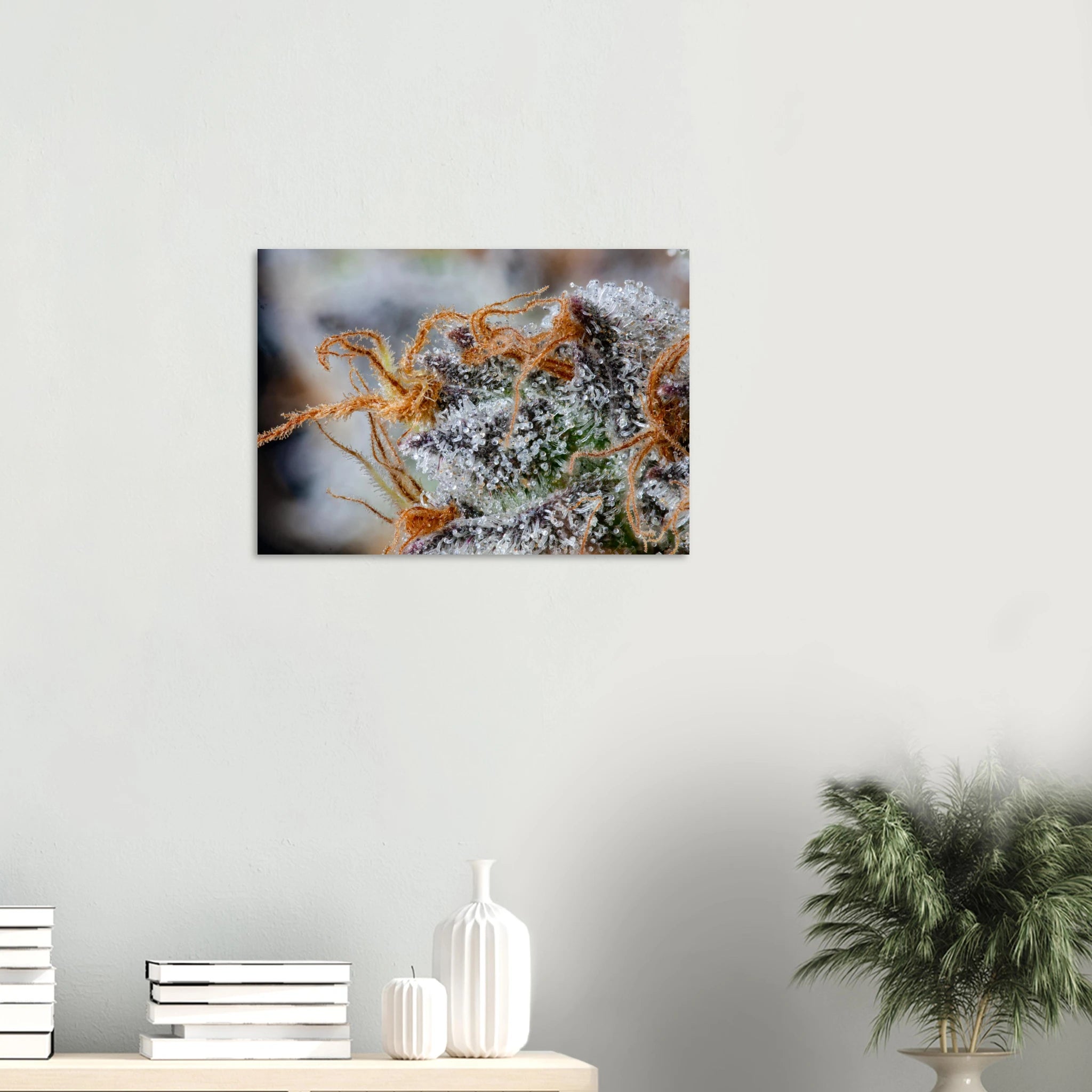 df58f225-a9bb-41a0-98b4-22aefa5be781