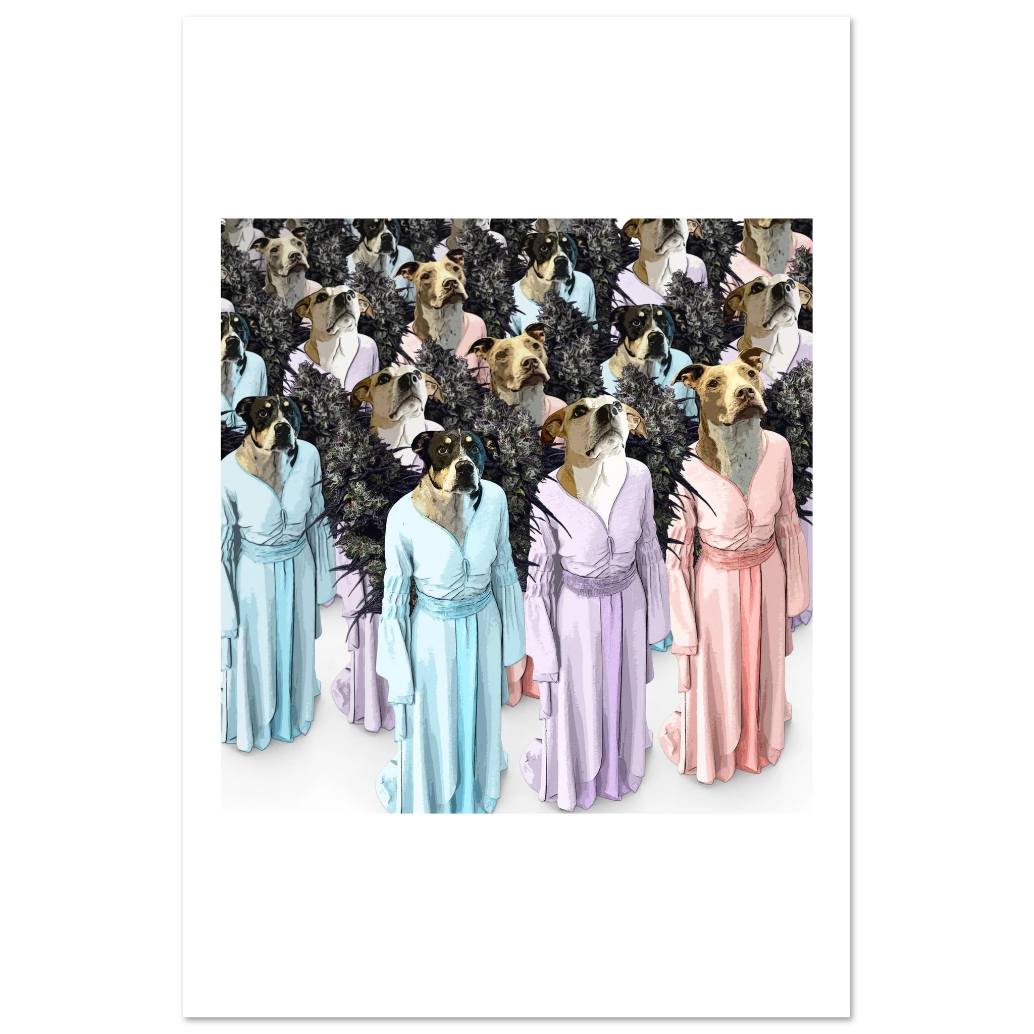 e44a8911-52e4-468d-91c1-d7cfd483bebb