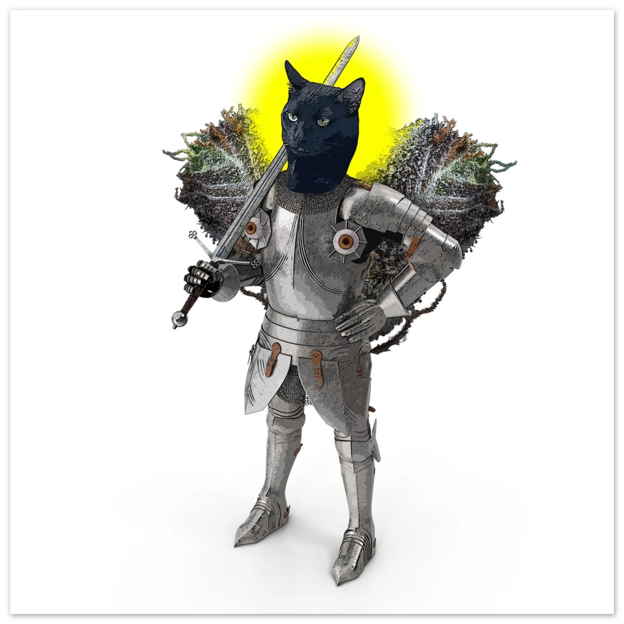 ed787998-f2d9-4dc3-96ac-fa5de1cfbdaf