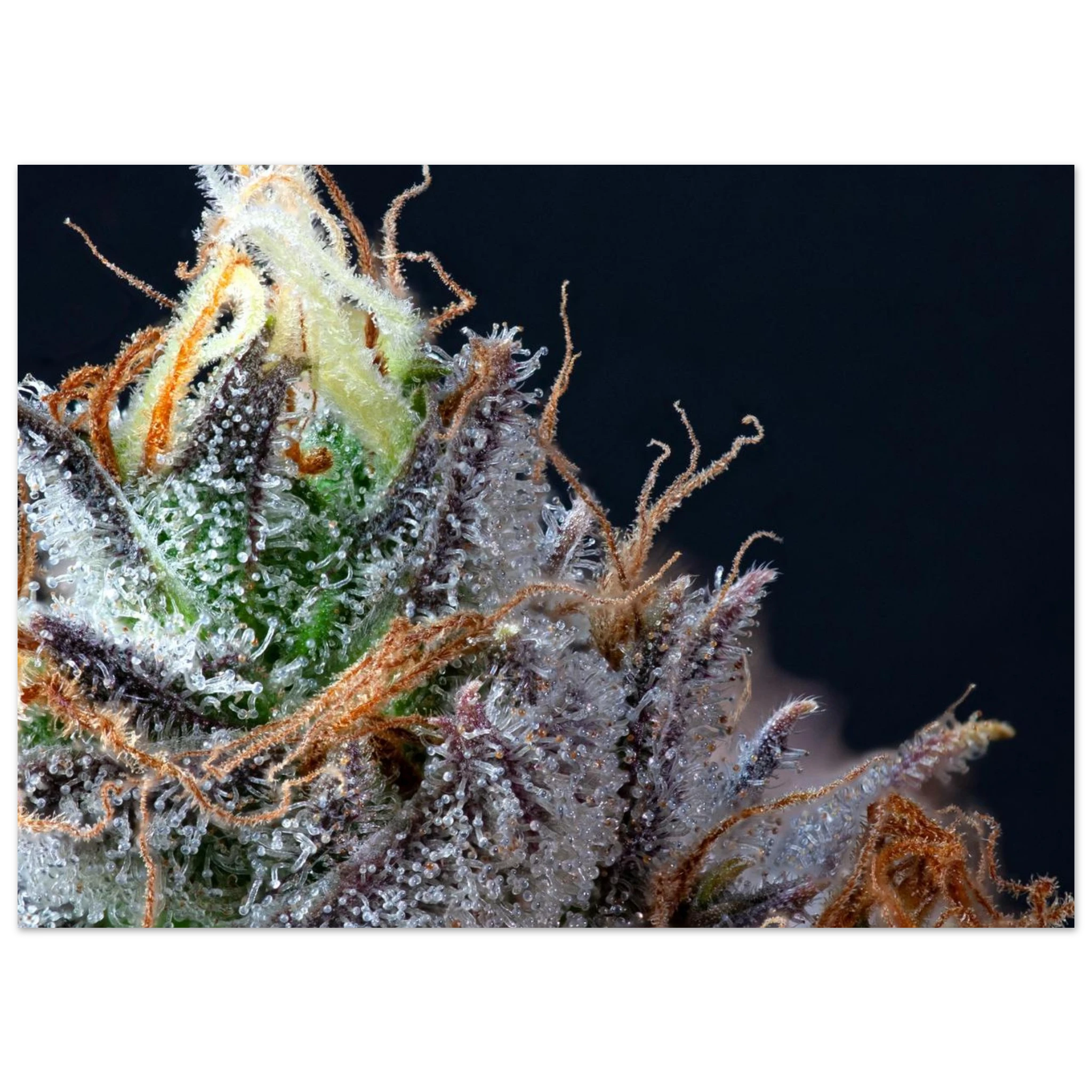 f002794e-2bfb-465a-9533-36bafc80c7c3