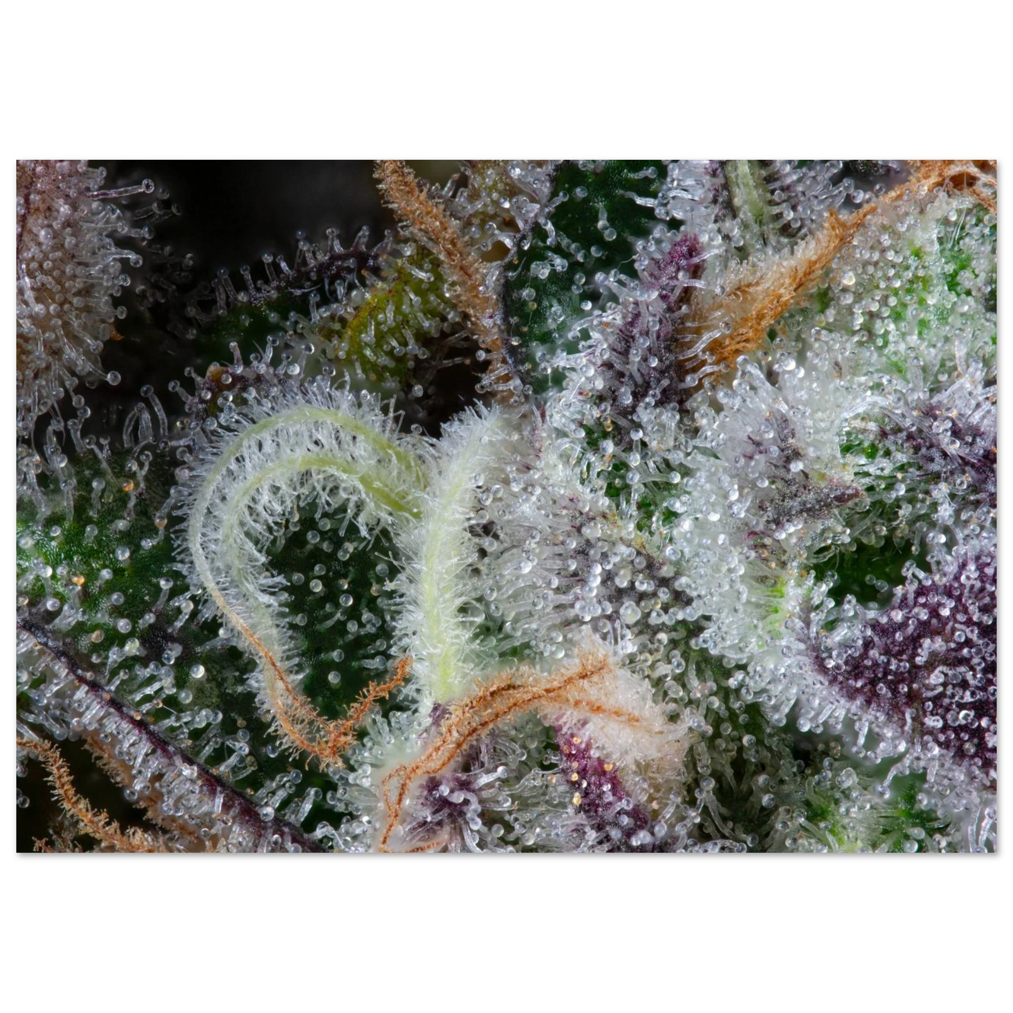 f0df2bb2-8be5-4d87-946a-7c7158d7f9c5