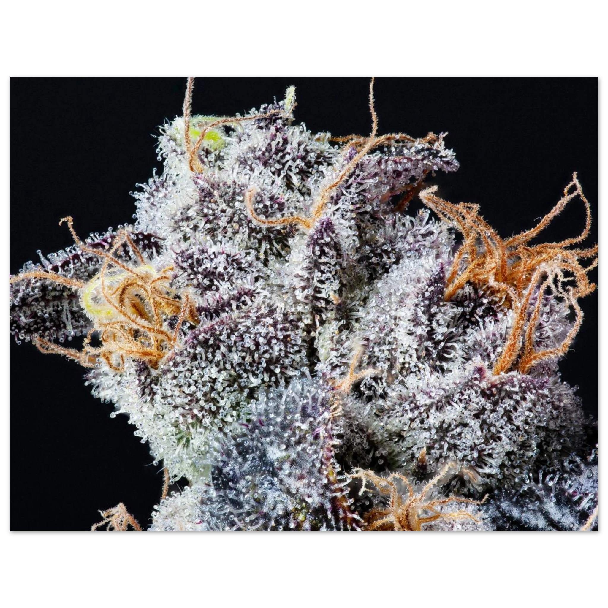 f1e345e7-5189-453f-961a-fd15c4b2fb5f