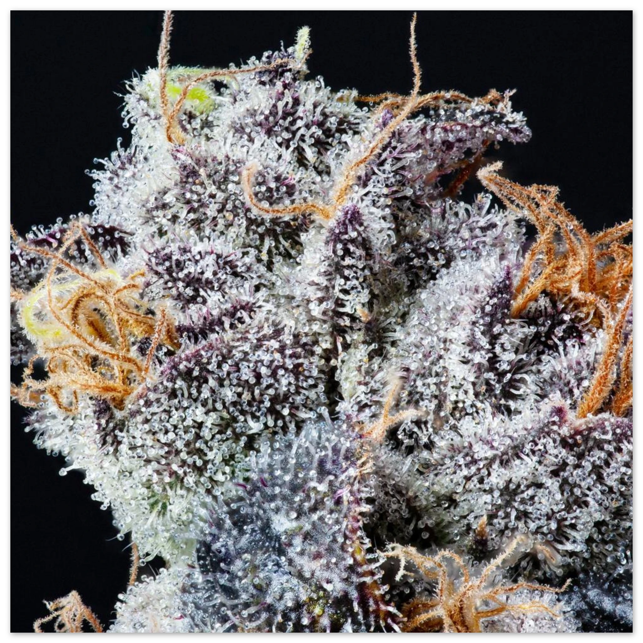 f2df235e-a28c-4c03-a0a8-34d45f8260b0