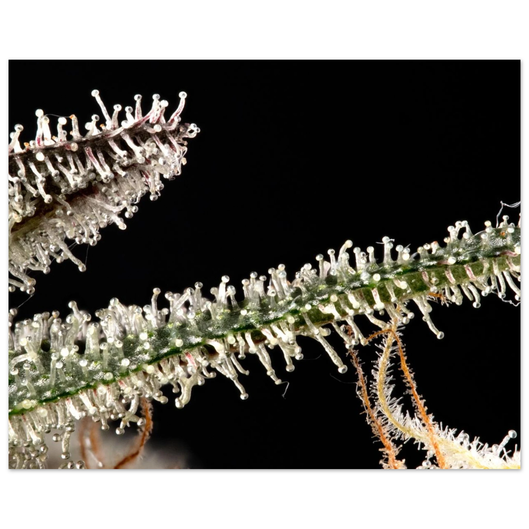 f361d287-6dd4-4618-895e-aec07e29d645