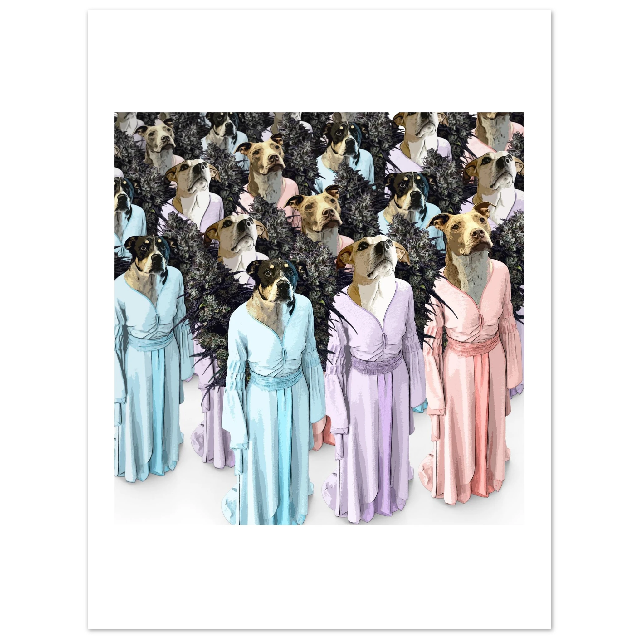 fc1038b7-de3e-48a3-a1a7-c7a00f5d327a