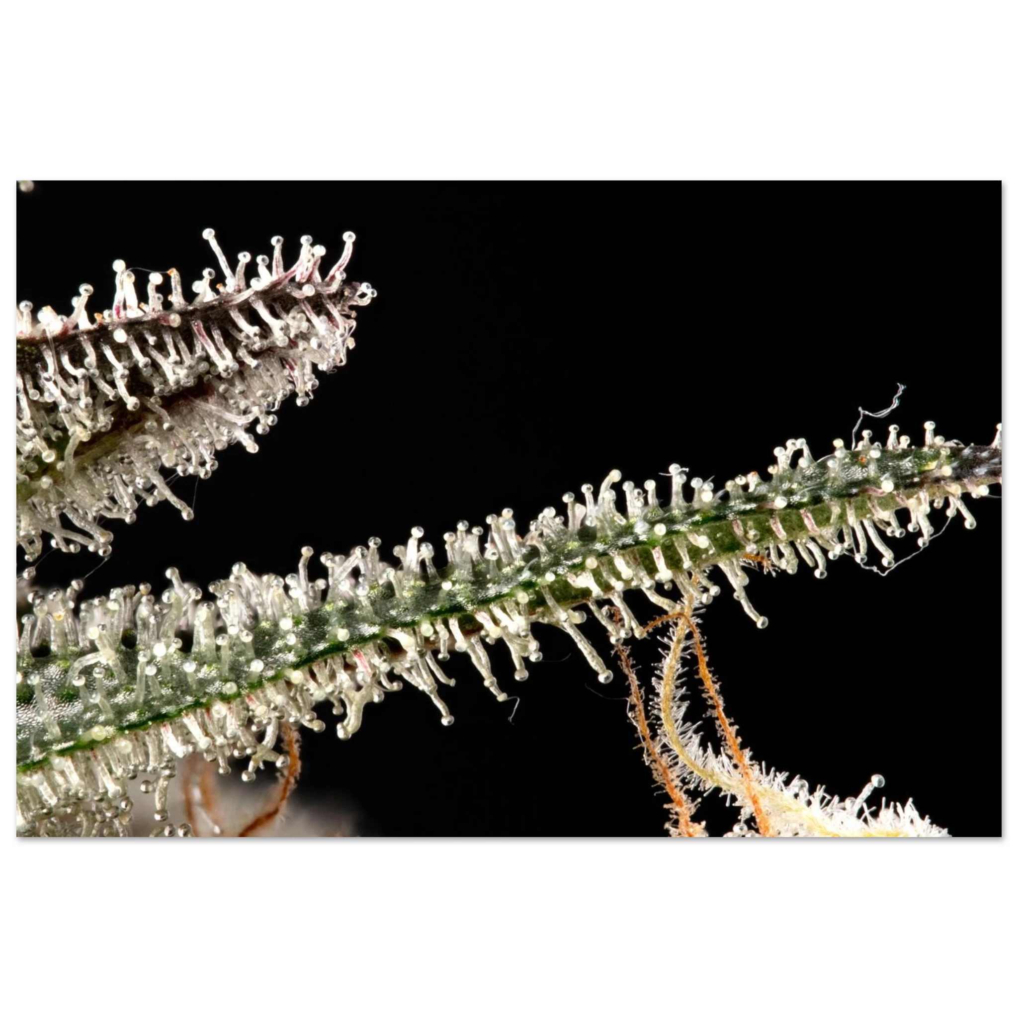 fd0c47ab-0522-40e7-8ef3-fb80d47c677b