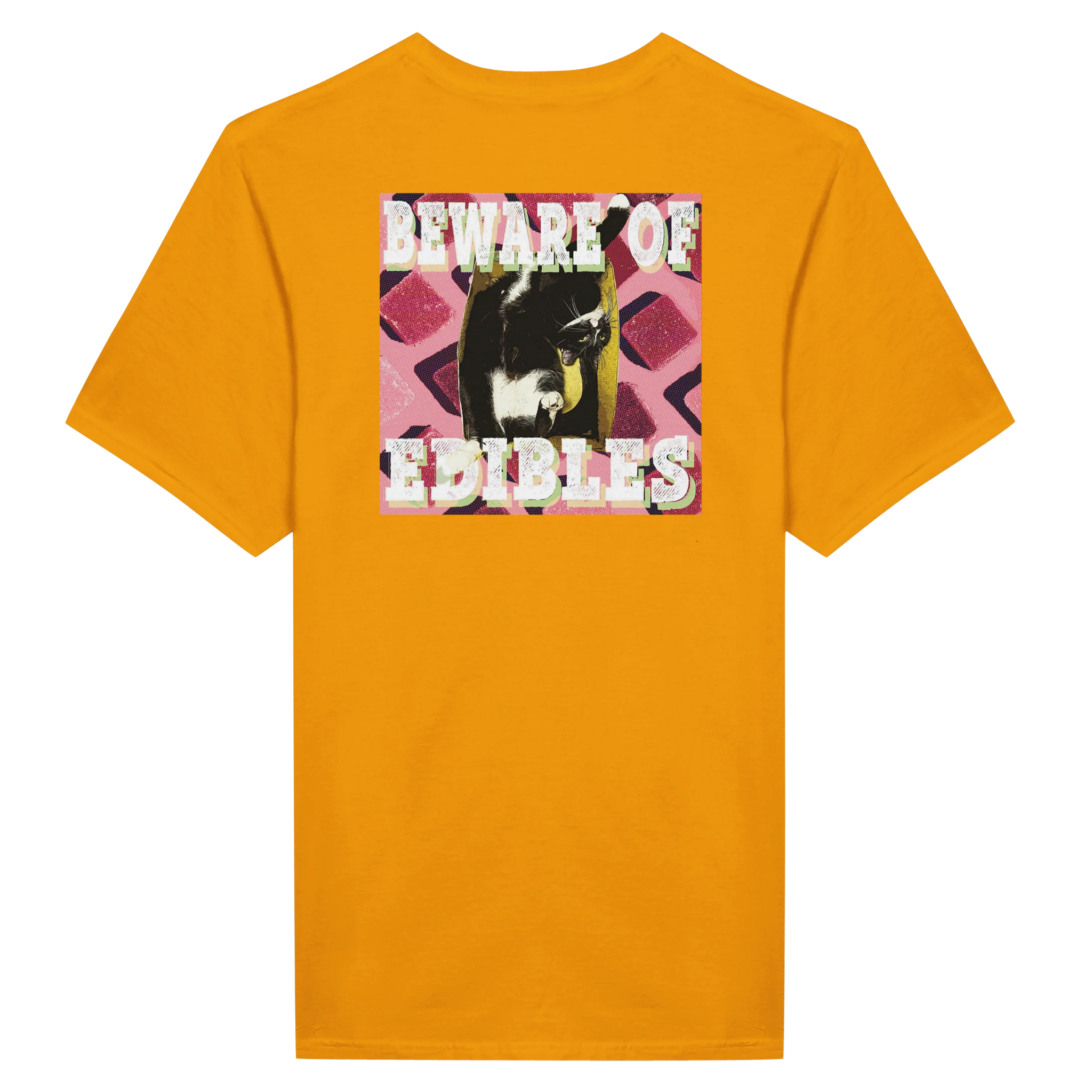 ffc113dd-c289-4a9d-9532-5d3b86f29386