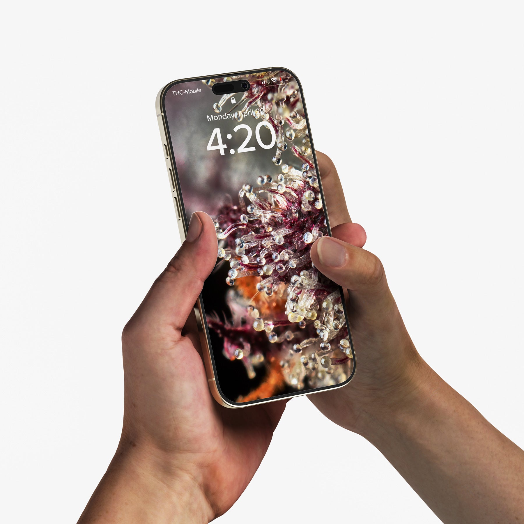 High Res Cannabis Photo Bundle